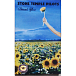 Сassette Tape Stone Temple Pilots - Thank You - img.2 Сassette Tape Stone Temple Pilots - Thank You - img.2
