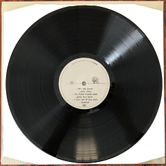 Vinyl Record Stone Temple Pilots – Perdida LP