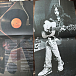 Vinyl Record Neil Young - Greatest Hits - 2LP - img.4