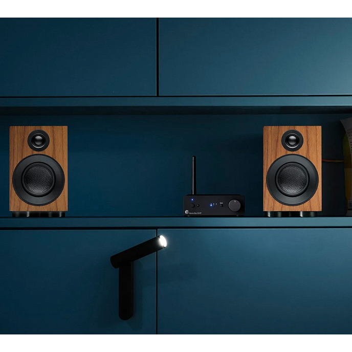 Bookshelf speakers Pro-Ject Speaker Box 3 E Carbon Walnut - img.3