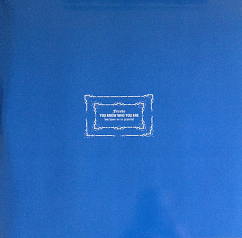 Vinyl Record Blur - Modern Life Is Rubbish