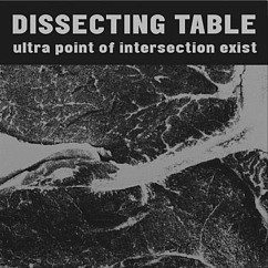 Vinyl Record Dissecting Table - Ultra Point On Intersection Exist LP