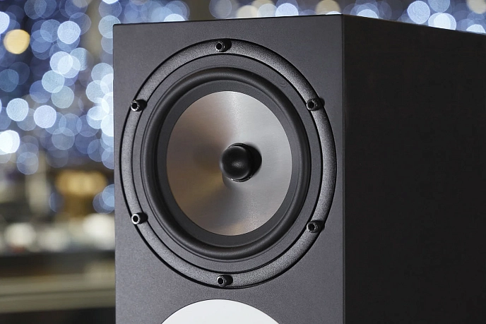 Studio monitor Amphion Two18 Black - img.18