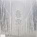 Vinyl Record AFI - Decemberunderground LP - img.3