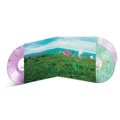 Vinyl Record Camille - The Sound of Milk (Integral Edition) - 3LP
