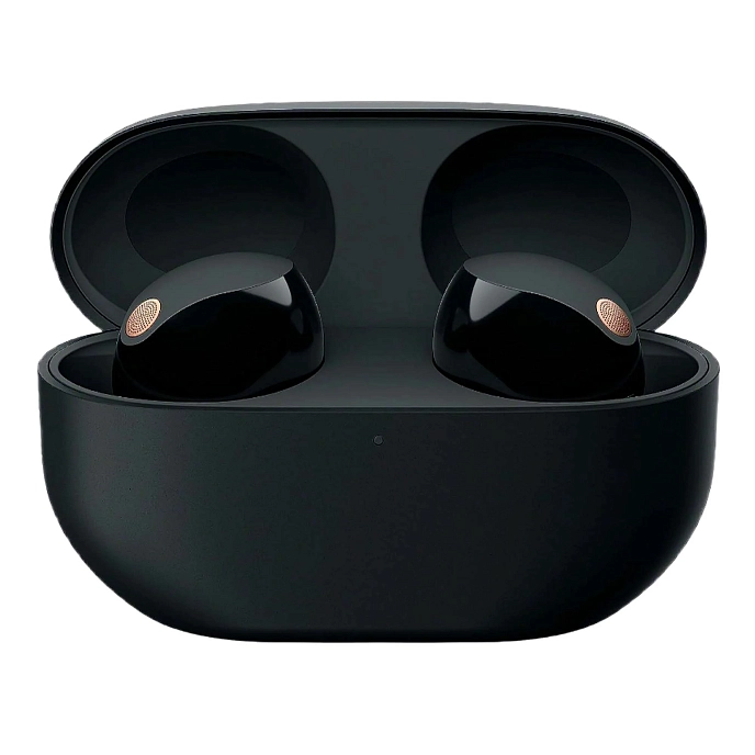 Wireless Headphones Sony WF-1000XM5 Black - img.0