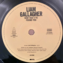Vinyl Record Liam Gallagher - Now That I've Found You (7, 45 RPM, Single Sided, Etched) LP