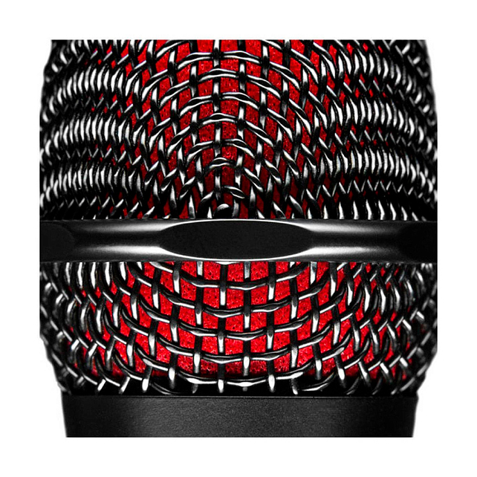 Vocal microphone SE Electronics V3 - img.3