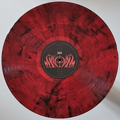 Vinyl Record Muse - The Wow! Signal (Translucent Rosette Nebula) LP