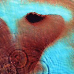 Vinyl Record Pink Floyd – Meddle - LP