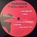 Vinyl Record Pavement - Terror Twilight LP - img.3