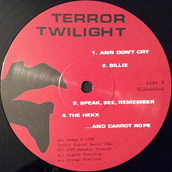 Vinyl Record Pavement - Terror Twilight LP