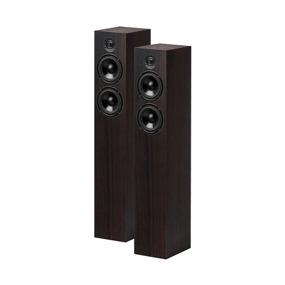 Floorstanding Speakers Pro-Ject Speaker Box 10 S2 Eucalyptus - img.0