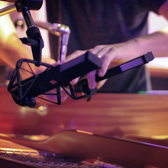 Vocal microphone SE Electronics VR2 Black - img.2