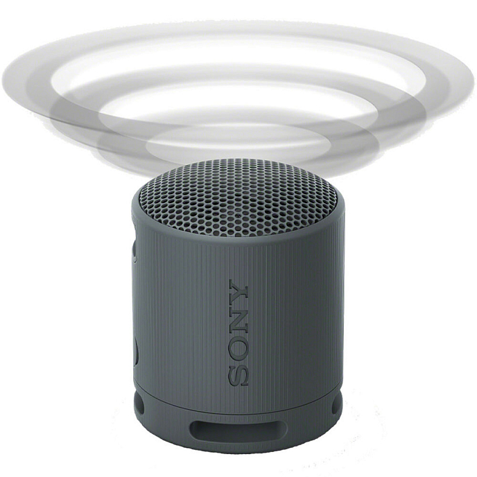 Wireless Speaker Sony SRS-XB100 Light Gray - img.6