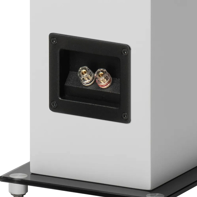 Floorstanding Speakers Pro-Ject Speaker Box 10 E Carbon Satin White - img.6