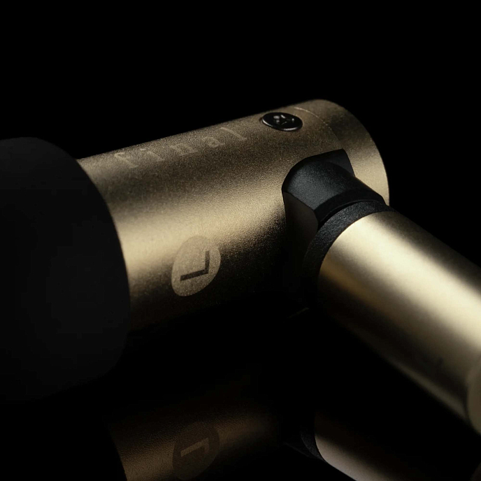 In-ear headphones Final Audio S5000 Gold - img.3