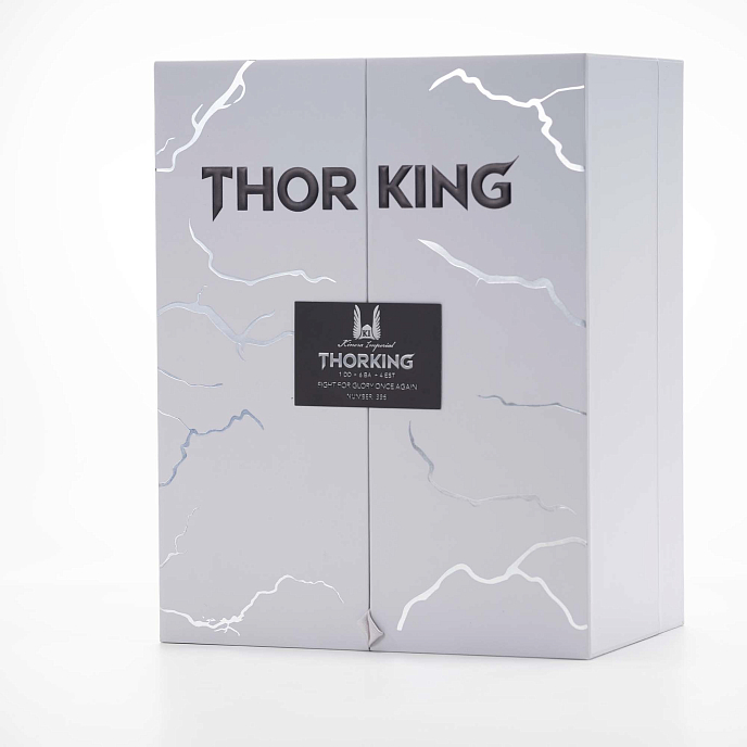 In-ear headphones Kinera ThorKing Glossy Silver - img.14