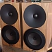 Bookshelf speakers Amphion Argon3S Walnut - img.5