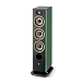 Floorstanding Speakers Focal Aria Evo X N2 Green Moss - img.1