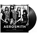 Vinyl Record Aerosmith – Best of Live at The Music Hall, Boston 1978 - 2LP - img.1