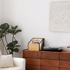 Vinyl Storage Box NorStone Vinyl LP Case