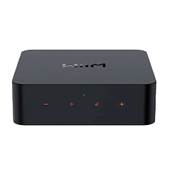 Network Audio Player WiiM Pro