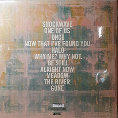 Vinyl Record Liam Gallagher – Why Me? Why Not. LP