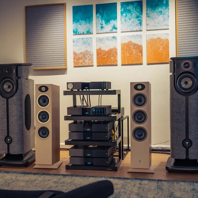 Power Amp Naim NAP 250 New Classic Black - img.4