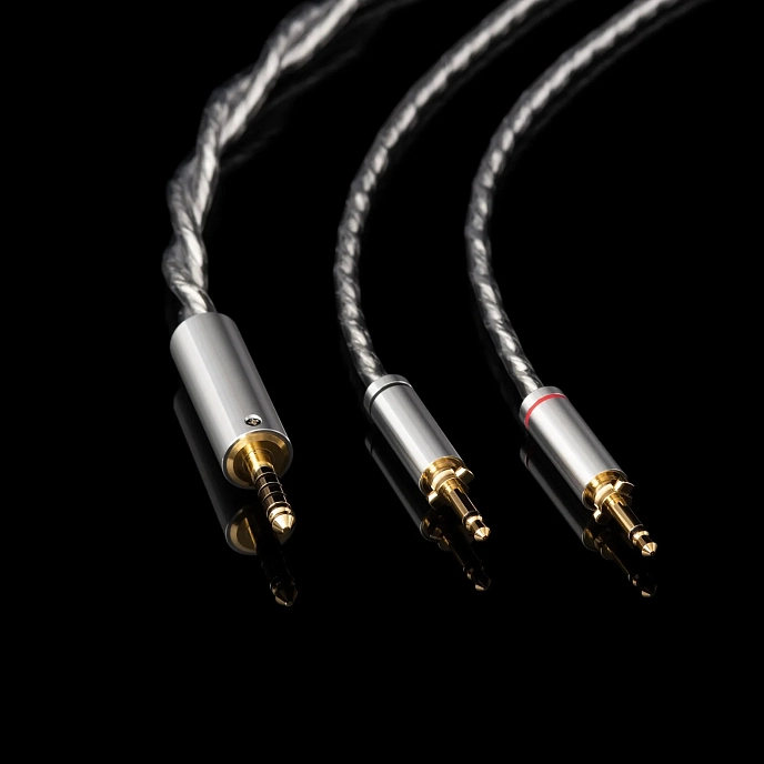 Over-ear headphones Final Audio D8000 DC Pro Edition Silver - img.10