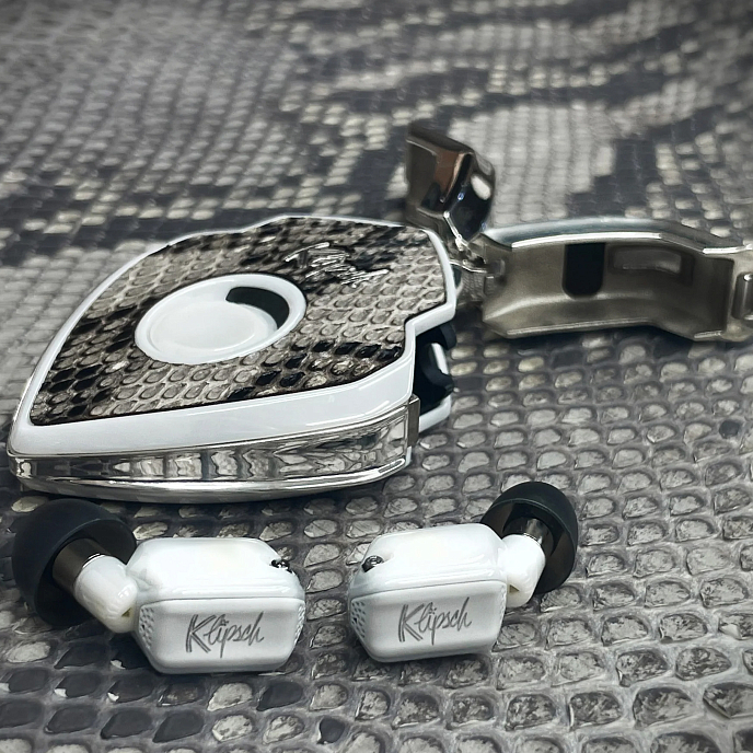 Wireless Headphones T10 Bespoke Edition Pitone Dargento - img.2