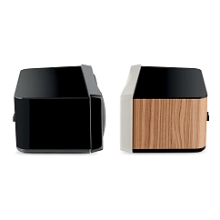 Central Channel Focal Kanta Center Walnut High Gloss Black Mat