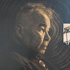 Vinyl Record John Prine - The Tree Of Forgiveness LP