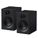 Bookshelf speakers Pro-Ject Speaker Box 3 E Carbon Satin Black - img.0