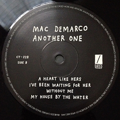 Vinyl Record Mac Demarco - Another One LP