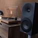 Bookshelf speakers Amphion Argon3S White Black - img.9