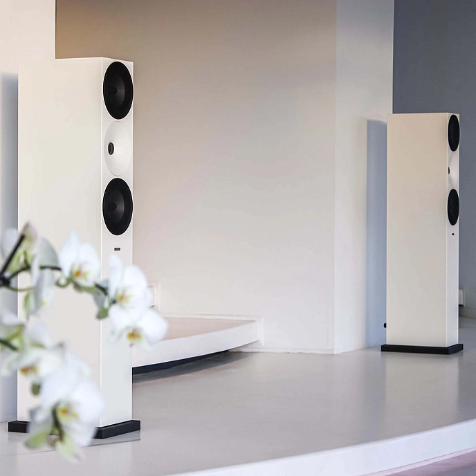 Floorstanding Speakers Amphion Argon7LS White Black - img.5