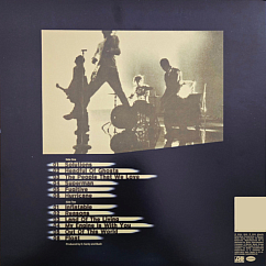 Vinyl Record Bush - Golden State (Rocktober 2024 Translucent Golden edition) LP