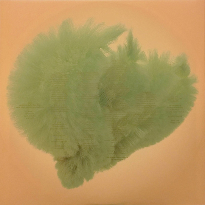 Vinyl Record Bjork - Utopia - 2LP - img.8