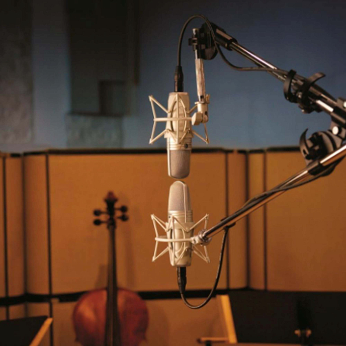 Microphone Shure KSM44A/SL Black - img.5