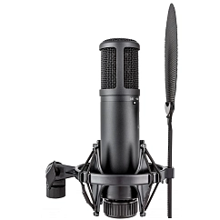 Studio microphone SE Electronics SE2200
