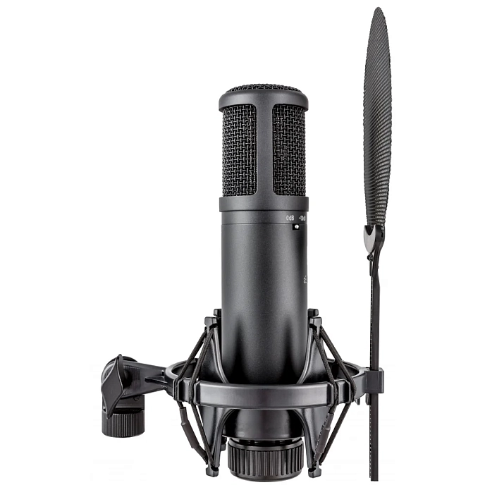 Studio microphone SE Electronics SE2200 - img.3