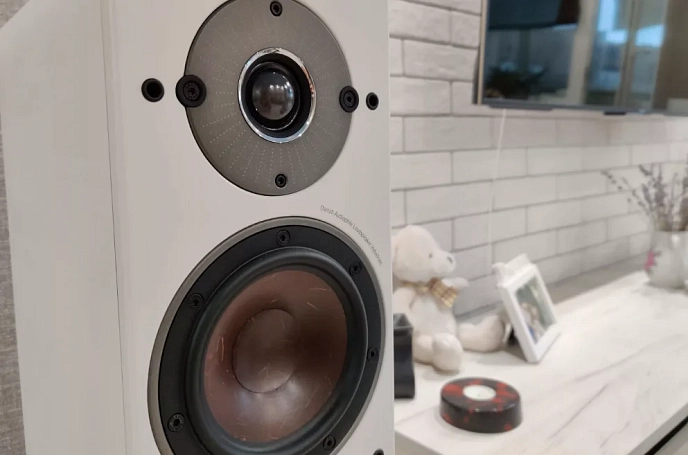 Bookshelf speakers Dali Oberon 1 Light Oak - img.12