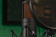 Studio microphone Antelope Audio Edge Duo - img.8