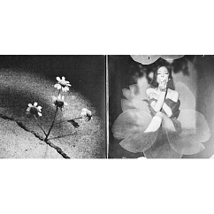 Vinyl Record Ariana Grande - Petal (Opaque Gray (Gray Skies), Alternate Cover) LP