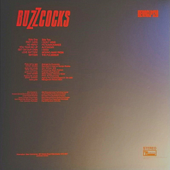 Vinyl Record Buzzcocks – Another Music In A Different Kitchen (2018 Remasted) LP