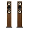 Amphion Krypton3X Walnut