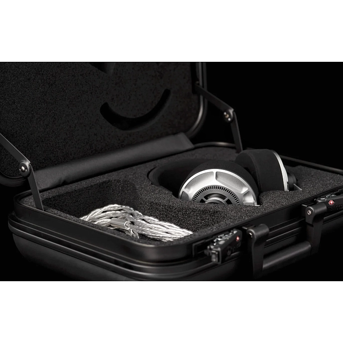 Over-ear headphones Final Audio D8000 DC Pro Edition Silver - img.12