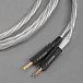 Cable Axxess Speaker Cable Silver Banana 3m - img.1