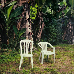 Vinyl Record Bad Bunny - Debí Tirar Mas Fotos (Limited Edition White Opaque Vinyl) - 2LP